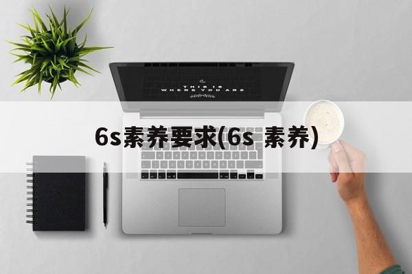 6s素养要求(6s 素养)